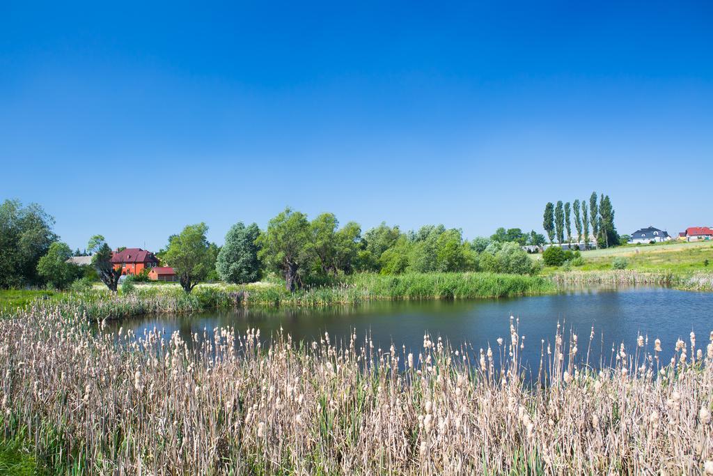 Zloty Staw Bed and Breakfast Borkowo  Eksteriør billede